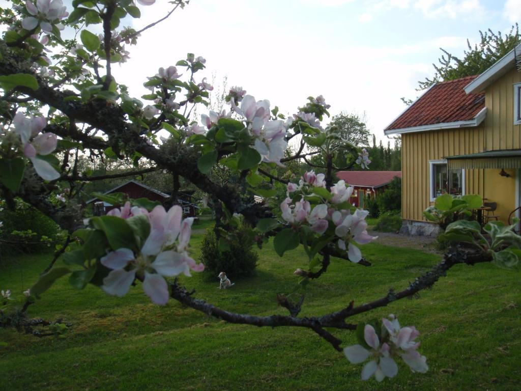 Stf Lugnasberget Ekohotell 마리에스태드 외부 사진